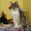 Отзыв от Нинель Винокурова